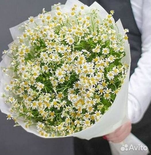 Букеты. Доставка ромашек
