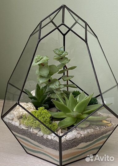 Идеальный подарок - флорариум