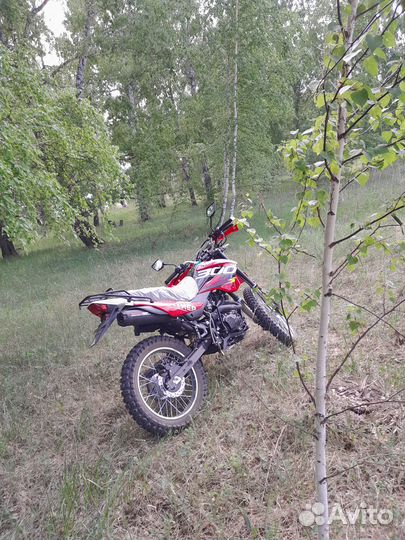 Racer Panther 300