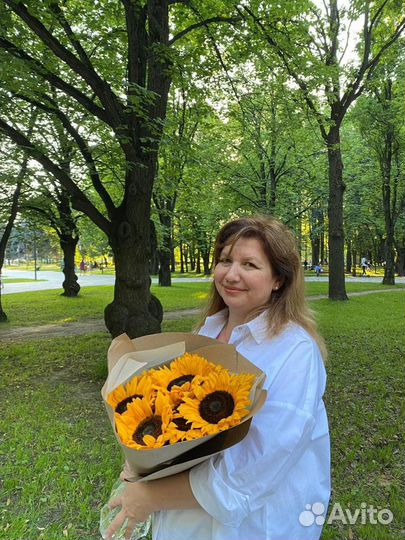 Передержка для собак