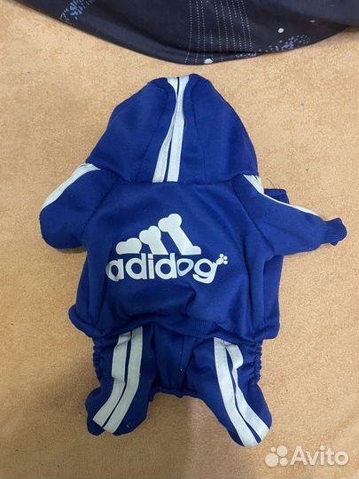 Одежда для маленьких собак