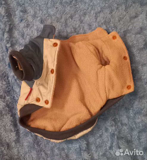 Одежда для маленьких собак