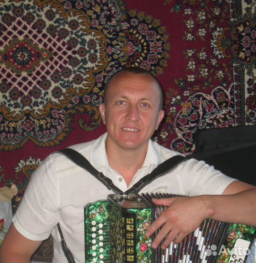 Баянист (Гармонист)