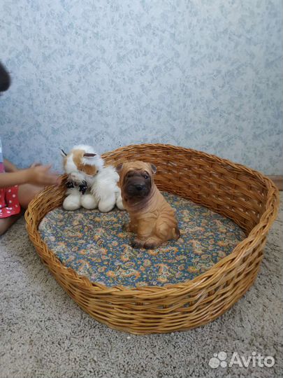 Лежанка для кошек плетеная