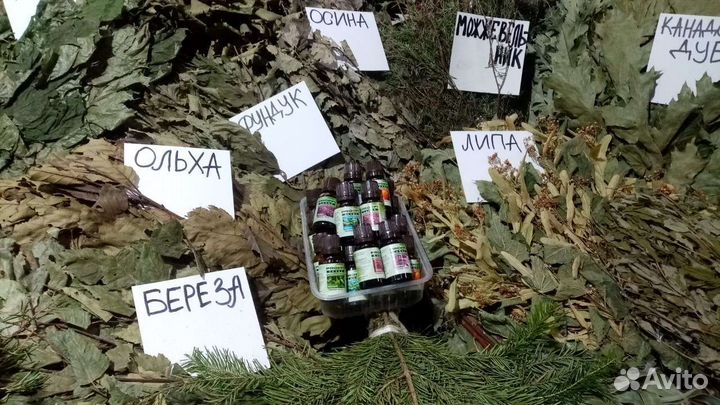 Дуб,Ольха,Липа,Осина,Фундук, Берёза, Канада,Пихта