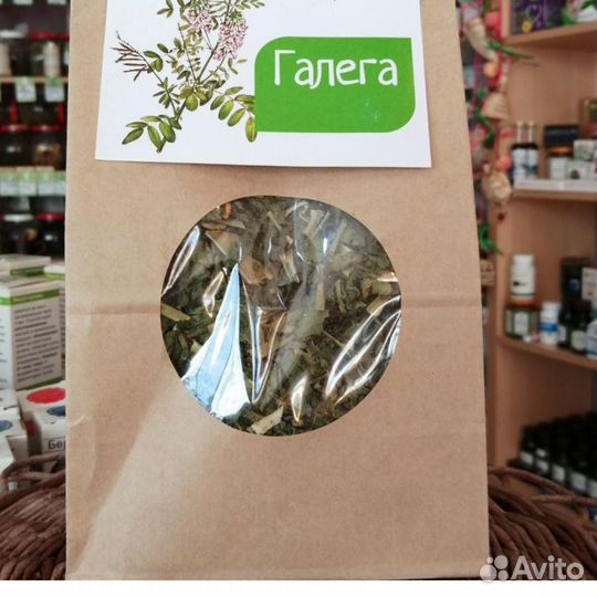 Галега (козлятник) с Алтая