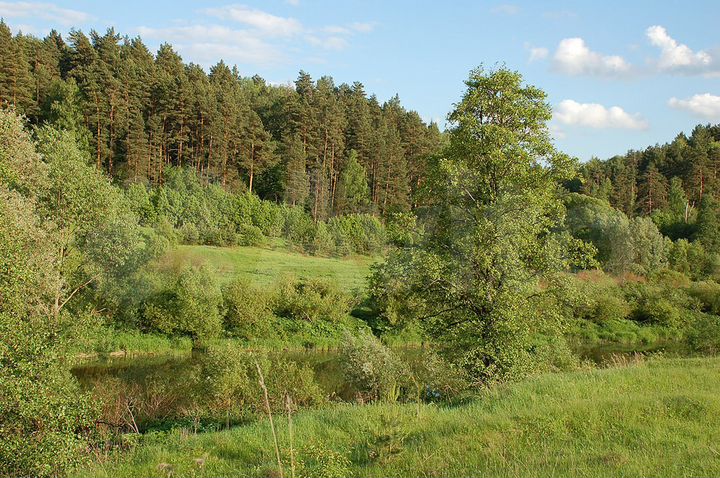 Село Заречье Калужская область.