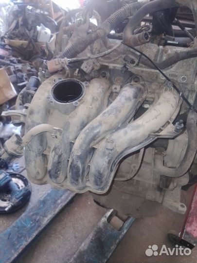 Впускной коллекток Polo sedan, 1.6 cfna