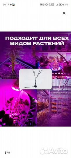 Фито лампа для растений