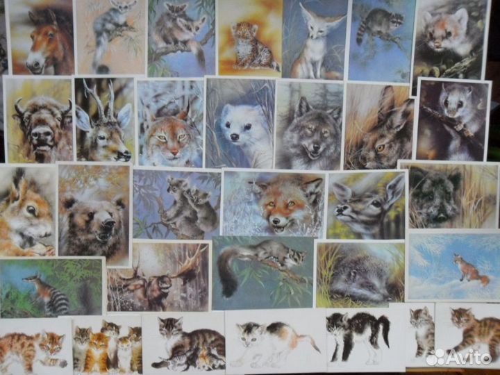 Звери, птицы, Исаков, Гамбургер, Чарушин, Ватагин