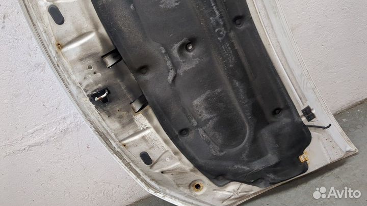 Капот Dacia Sandero 2012