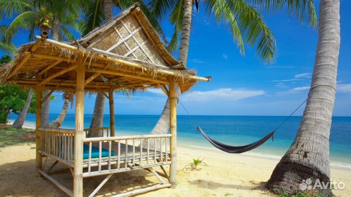 Курс по фотографии Цаплина