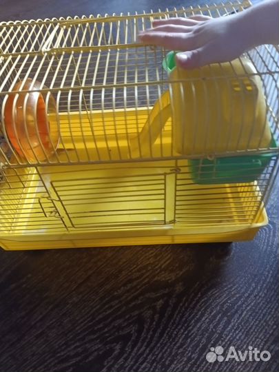 Клетка для хомяка бу