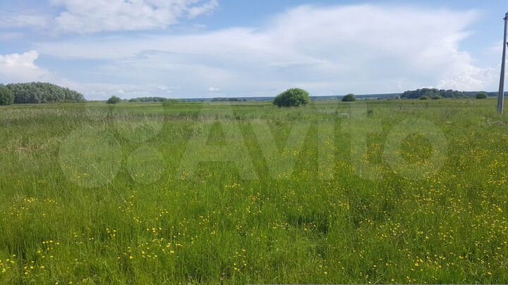 Участок 10 сот. (ИЖС)