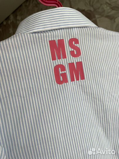 Блузка msgm