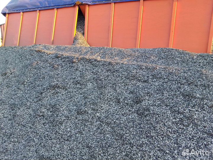 Доставка шелухи, лузги подсолнечника