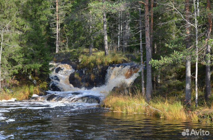 Ж/д туры в Карелию (весна-лето)