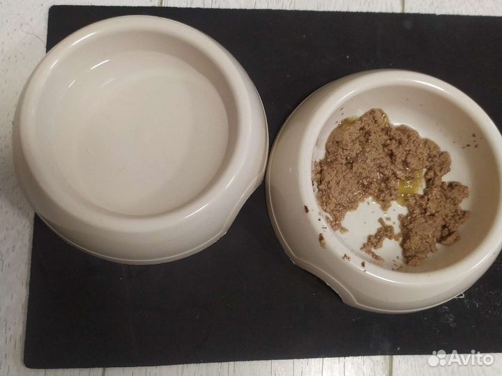 Черный котенок