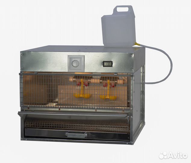 Брудер для цыплят