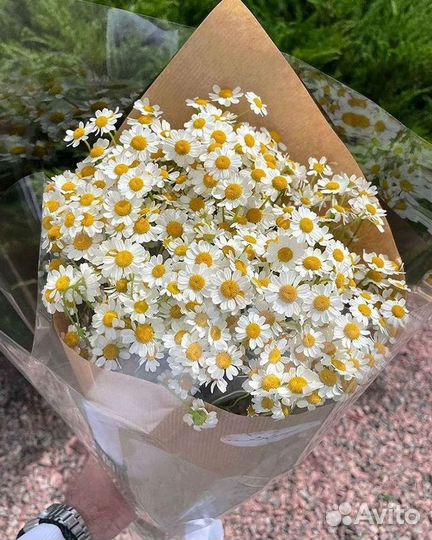 Доставка цветов. Ромашки