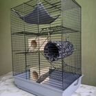 Клетка для грызунов, хомяков, крыс, дегу
