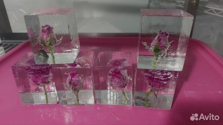 Дикий цветочный лед 5027 гр