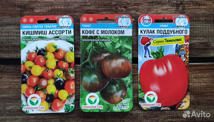 Семена Томатов №8