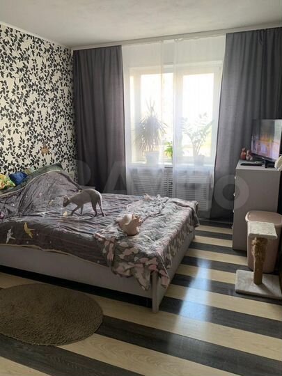 3-к. квартира, 73 м², 1/9 эт.