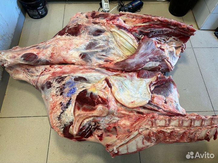 Домашнее мясо телятина, говядина, туша, полутуша