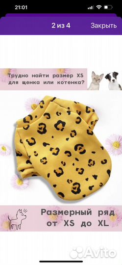 Одежда и обувь для щенка, размер S и XS