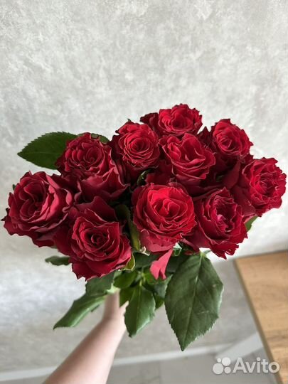 Живые цветы букеты розы