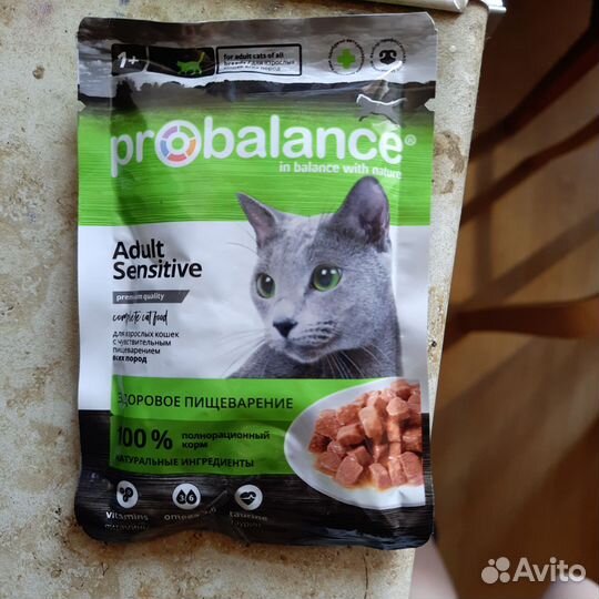 Влажный корм для кошек