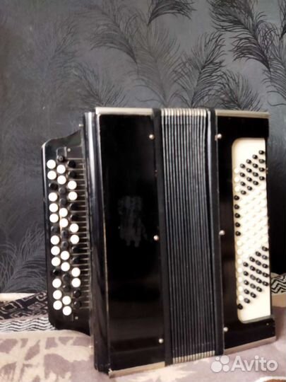 2 Детских баяна