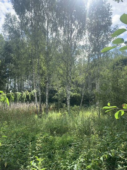 Участок 30 сот. (ИЖС)