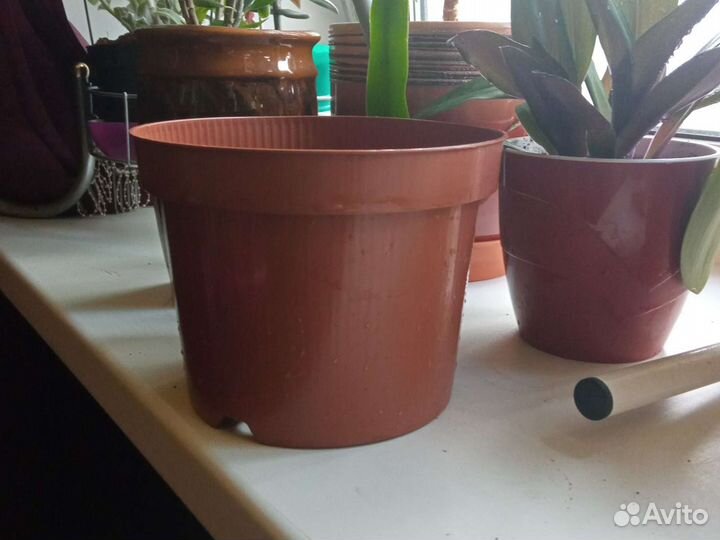 Горшки для цветов. Продам/обменяю на отросток