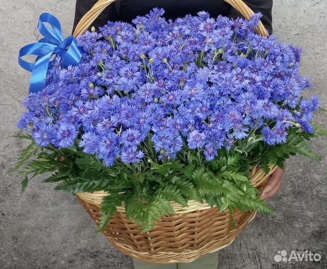 Букеты из васильков Васильки Доставка Композиции