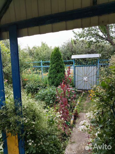 Садовый участок с домом