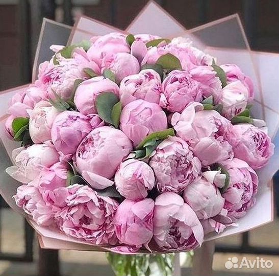 Пионы Букет пионов