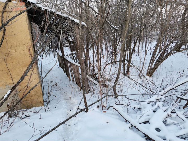 Участок 7,5 сот. (СНТ, ДНП)