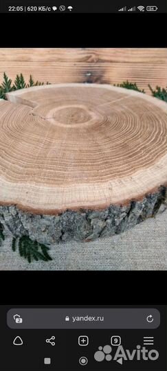 Спил дерева