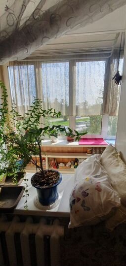 2-к. квартира, 77,9 м², 2/5 эт.