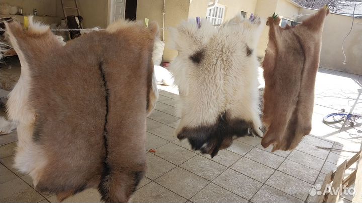 Козья шкуры