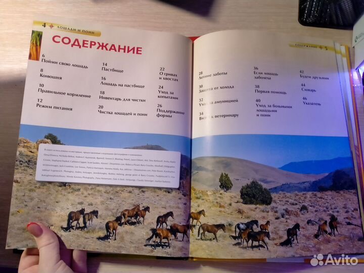 Книги энциклопедия про лошадей
