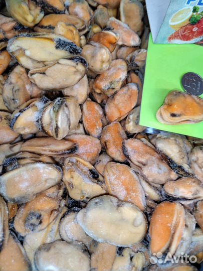 Мясо мидий отборное