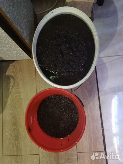 Аквариум, оборудование