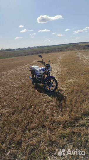 Мопеда alpha rx50(125)