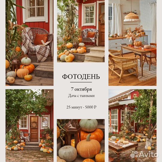 Семейный детский фотограф. Фотосессии