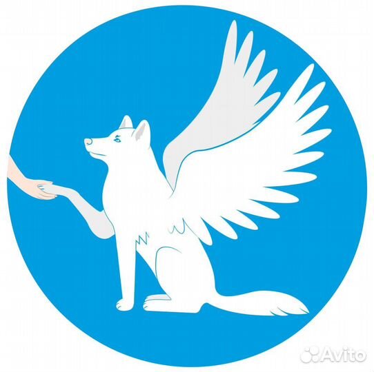 Гостиница для собак «Симуран»/ Передержка собак