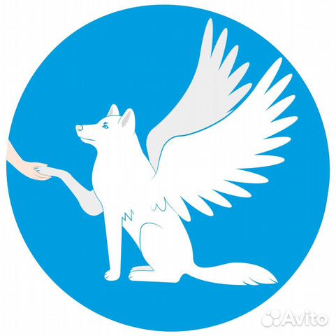 Гостиница для собак «Симуран»/ Передержка собак