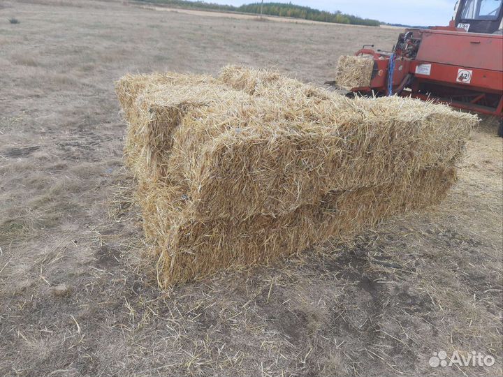 Солома ячменная в тюках
